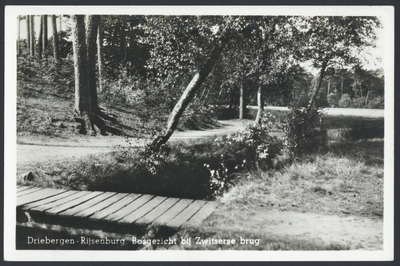 17641 Gezicht op een spreng in het bos bij Driebergen-Rijsenburg.